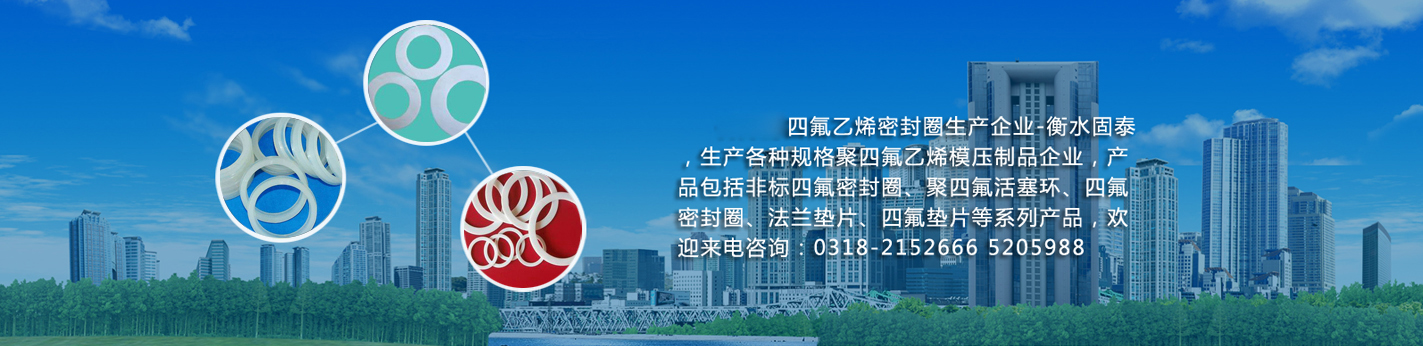 衡水固泰密封制品有限公司